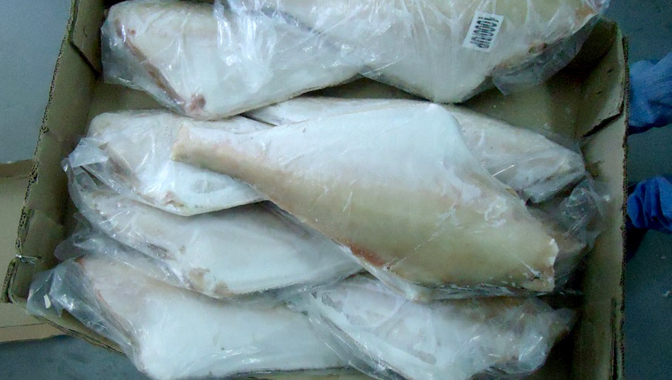 现货进口 三去马面鱼 批发 冷冻水产海鲜 福建水产品