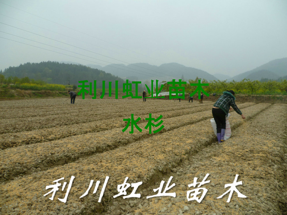 点击打开原图 undefined