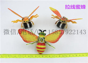 CIMG2610