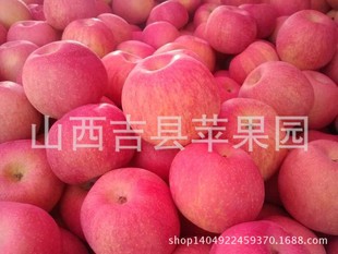 2014年山西吉县苹果65
