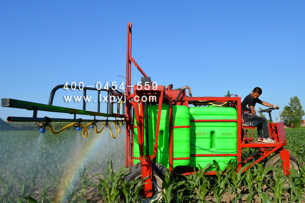 DSC_0842副本副本