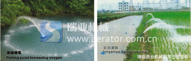 T24AsGXjdaXXXXXXXX_!!160217295