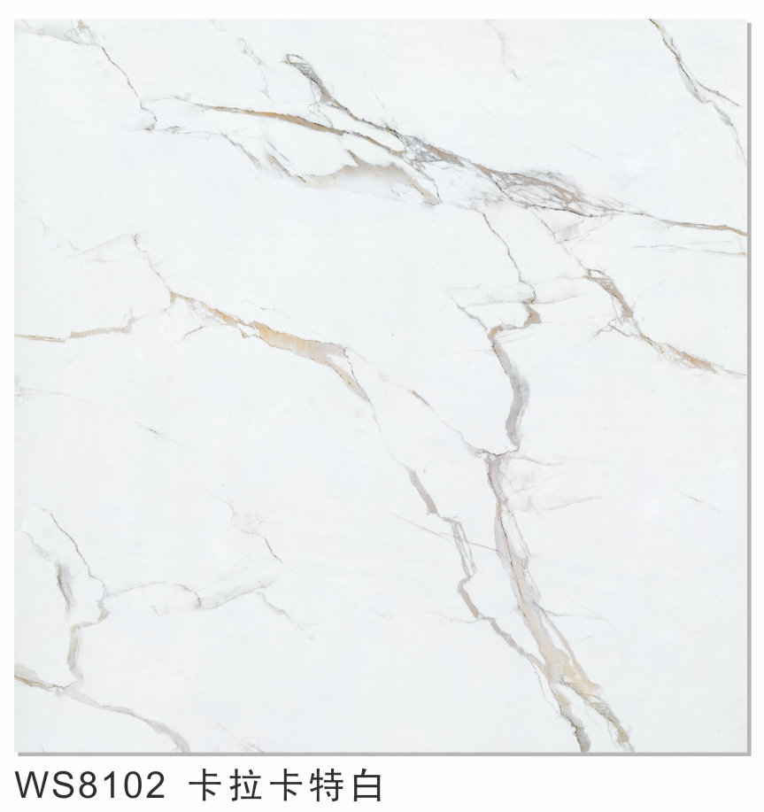 尚景国际WS8102卡拉卡特白