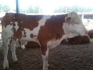 SAVE_20140219_152434