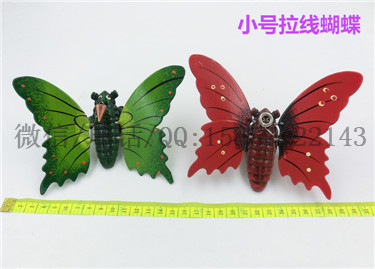 CIMG2625