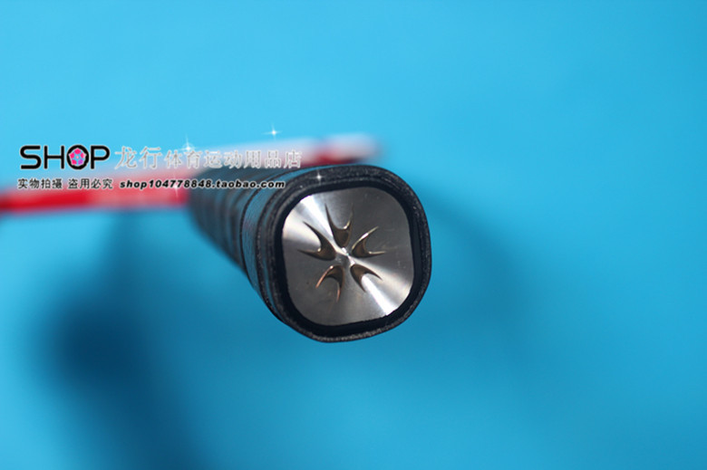 IMG_3071_副本龙行