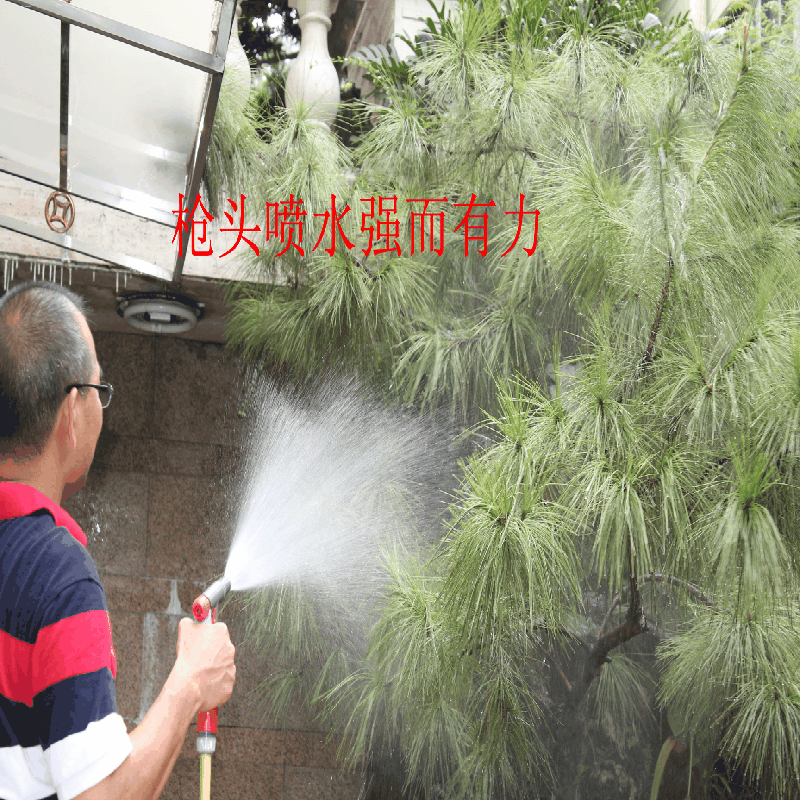 鹰牌家用洗车工具浇花洗车高压水枪套装园林喷头淋花全铜嘴水枪