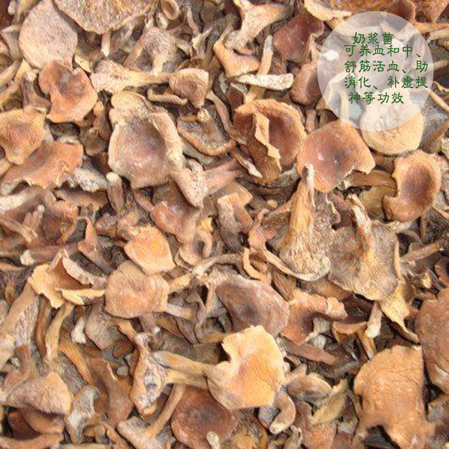 野生奶浆菌 香味浓郁清肺明目养胃 云南土特产干货山货 奶油菌