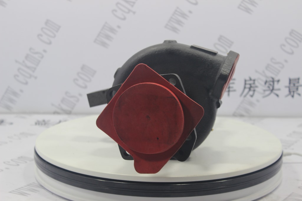 kms00691-3098964-康明斯K6淡水泵-图片5