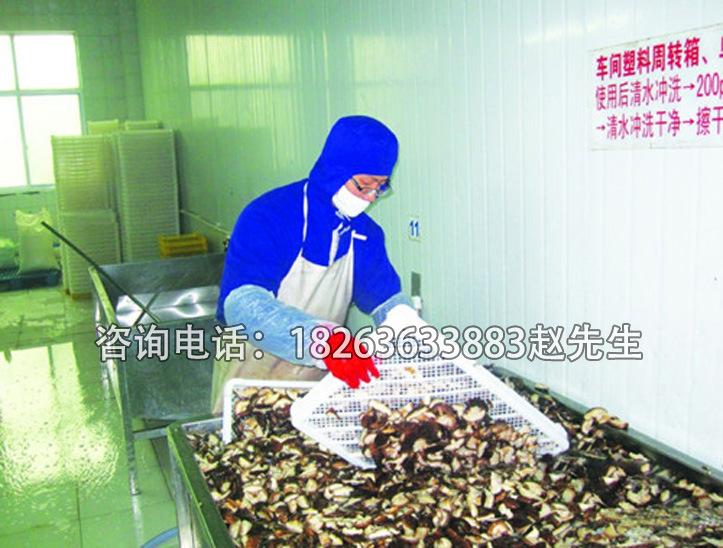 香菇清洗机
