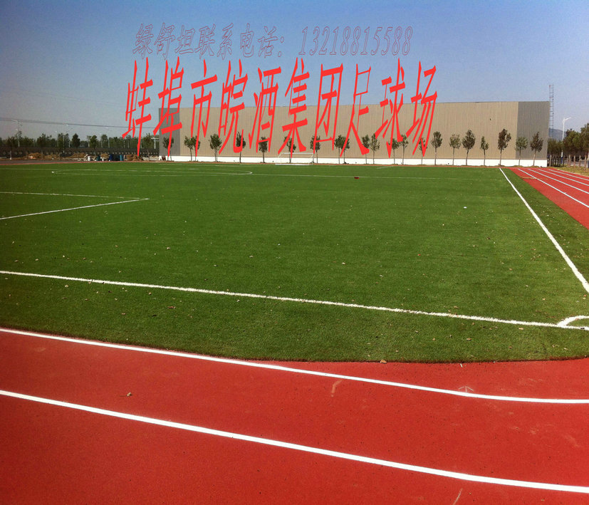 皖酒集团足球场