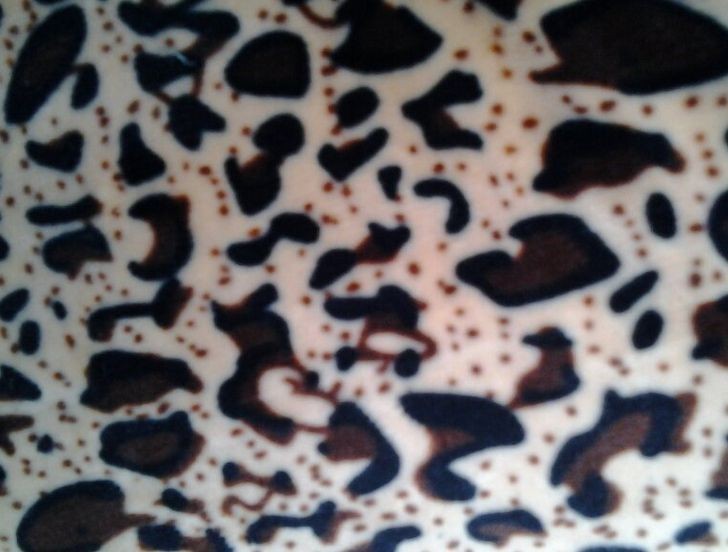 QQ图片20140609103526