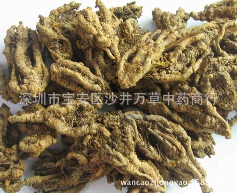 黄连,川连,姜连,川黄连,姜黄连,姜川连,姜制黄连,萸连,萸黄连,椿黄连