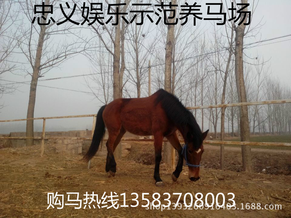 wifi0s0-2091689341IMG_20140222