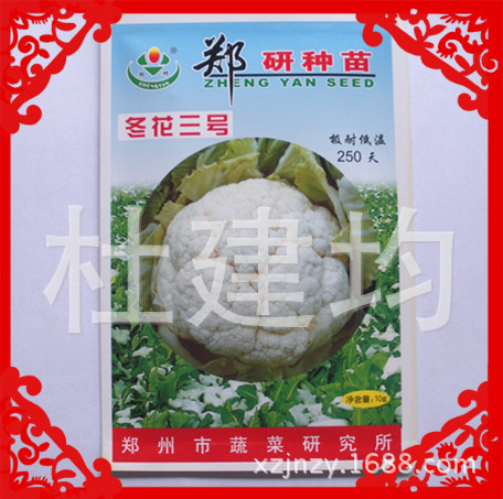 冬花三号