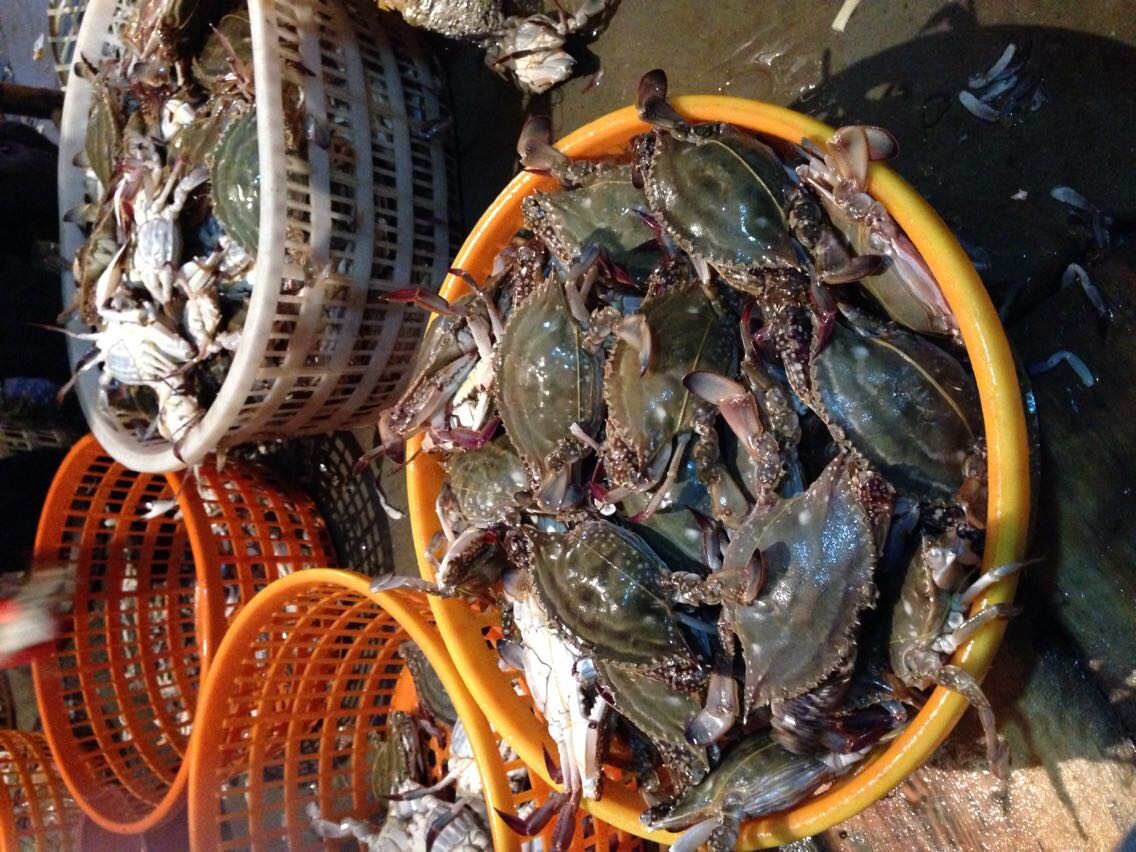 qq图片20141108103448