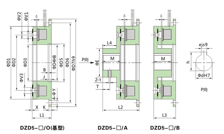 DZD5-1