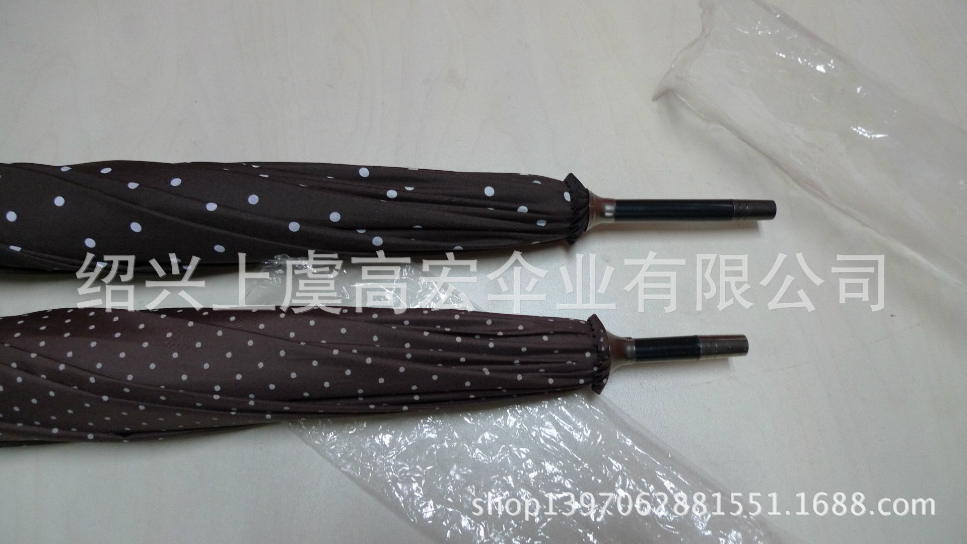 P1050202