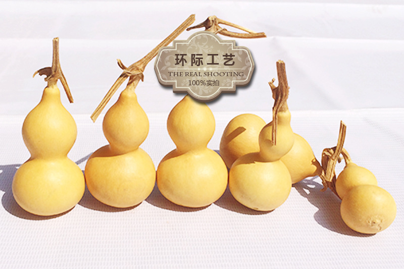 美国手捻葫芦 不带龙头裸葫芦 2-5cm小葫芦原葫芦 手捻把玩小葫芦