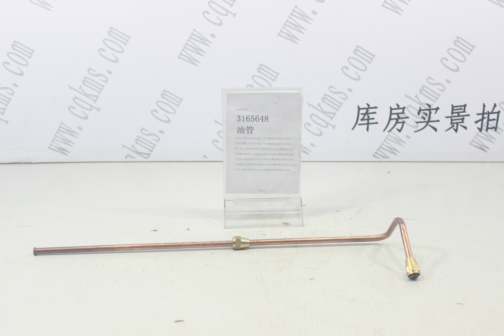 kms02339-3165648-油管图片2