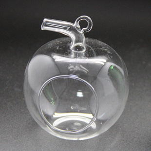 幸福家园  苔藓微景观专用玻璃瓶  多款 高硼硅透明玻璃  小鱼缸