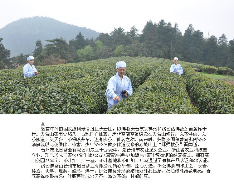 2014年新茶(和正)天台山云雾茶高山有机绿茶春茶新茶