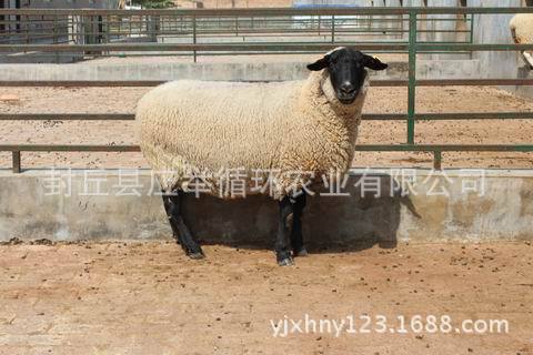 调整大小 IMG_4216