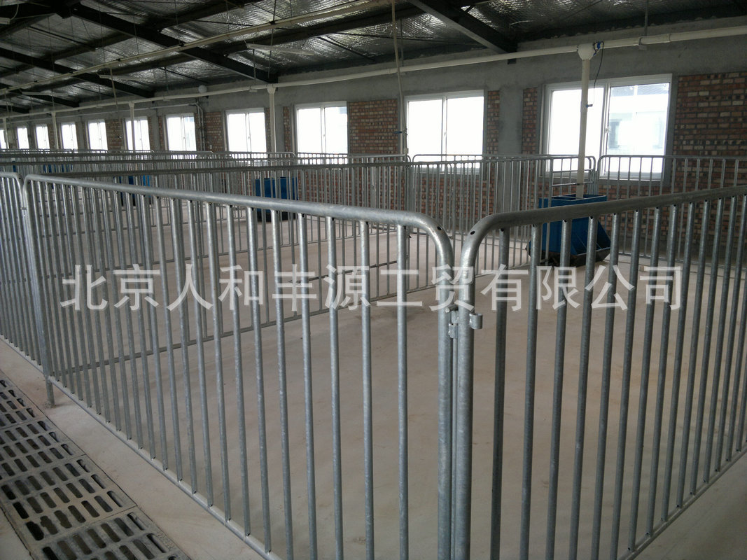 厂家批发 育肥猪栏设备 公猪定位后备猪栏图片_41