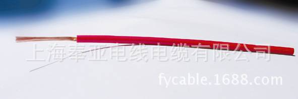 RV图片