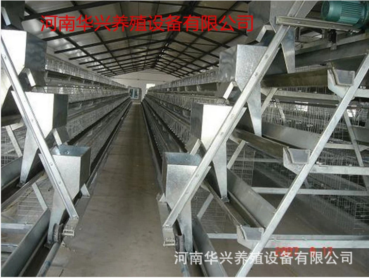 华兴养殖设备厂价直销阶梯式自动上料机喂料机投料均匀运行平稳