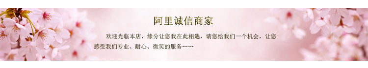 宝贝描述11号图