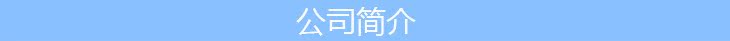 公司簡介
