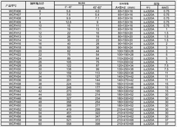 四肢钢丝绳索具