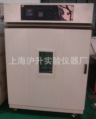 干燥试验箱