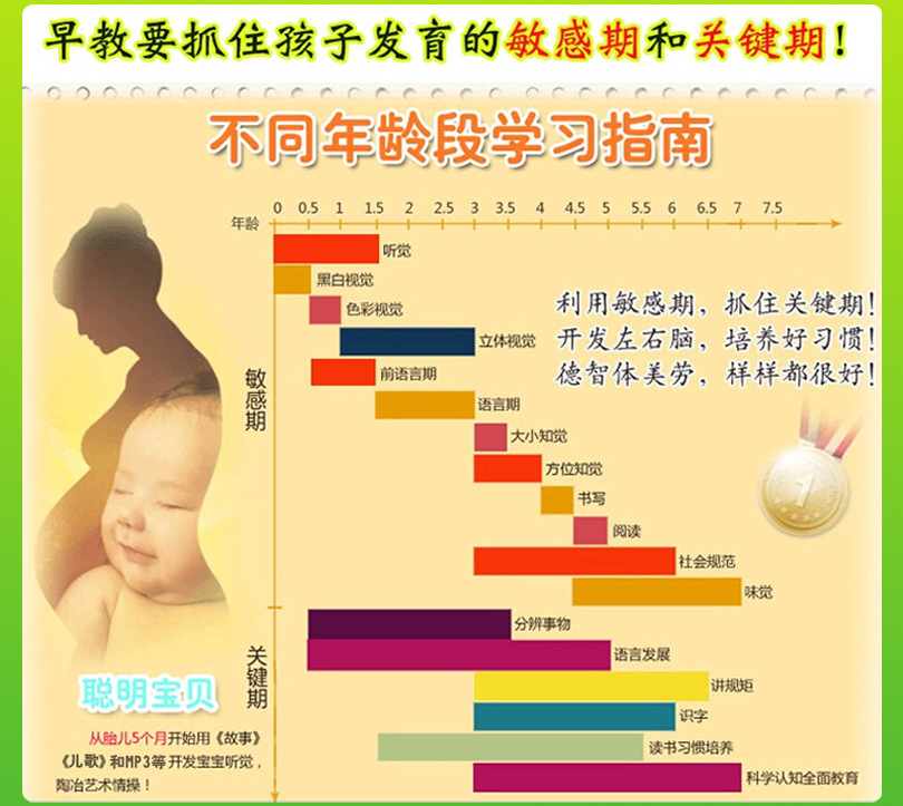 兔子笔描述810-17