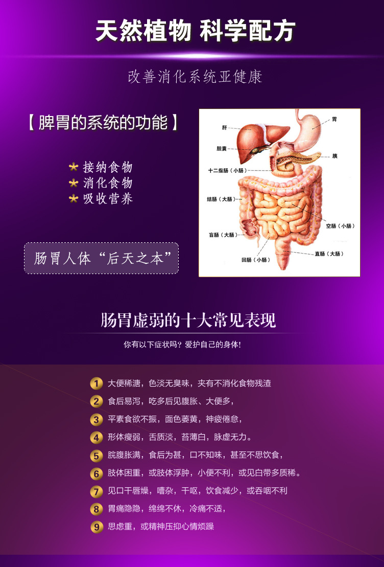 香草世界 肠胃保养精油10ml 肠胃不通畅,胃胀,去胀助消化的精油