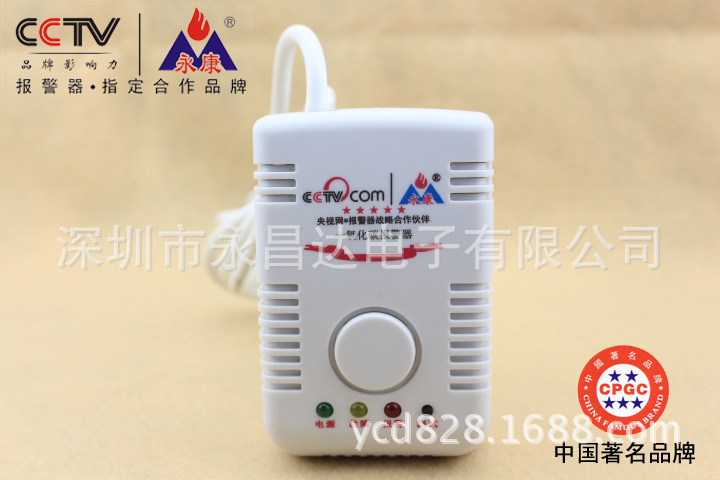 一氧化碳独立式