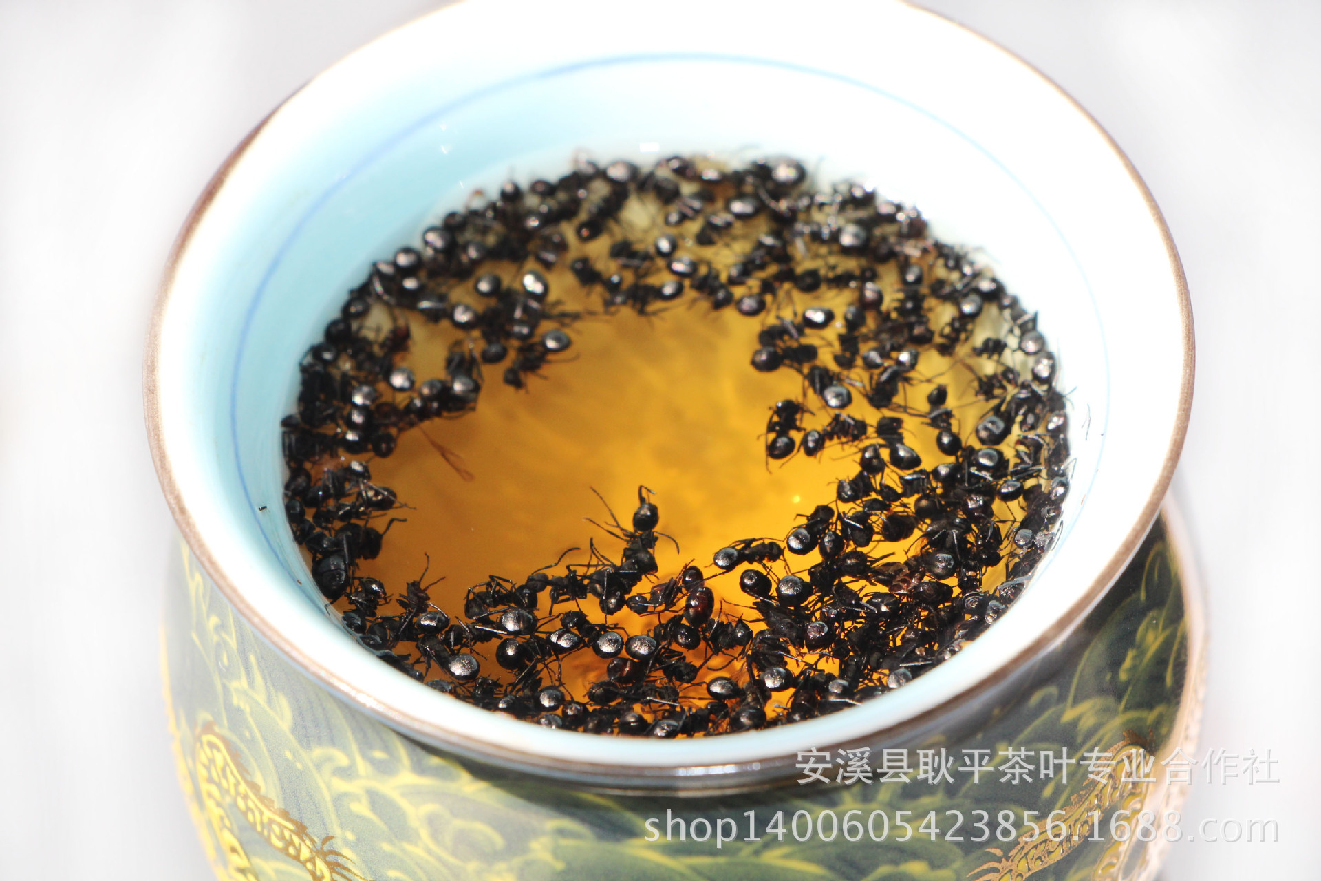 1026271213_260890943