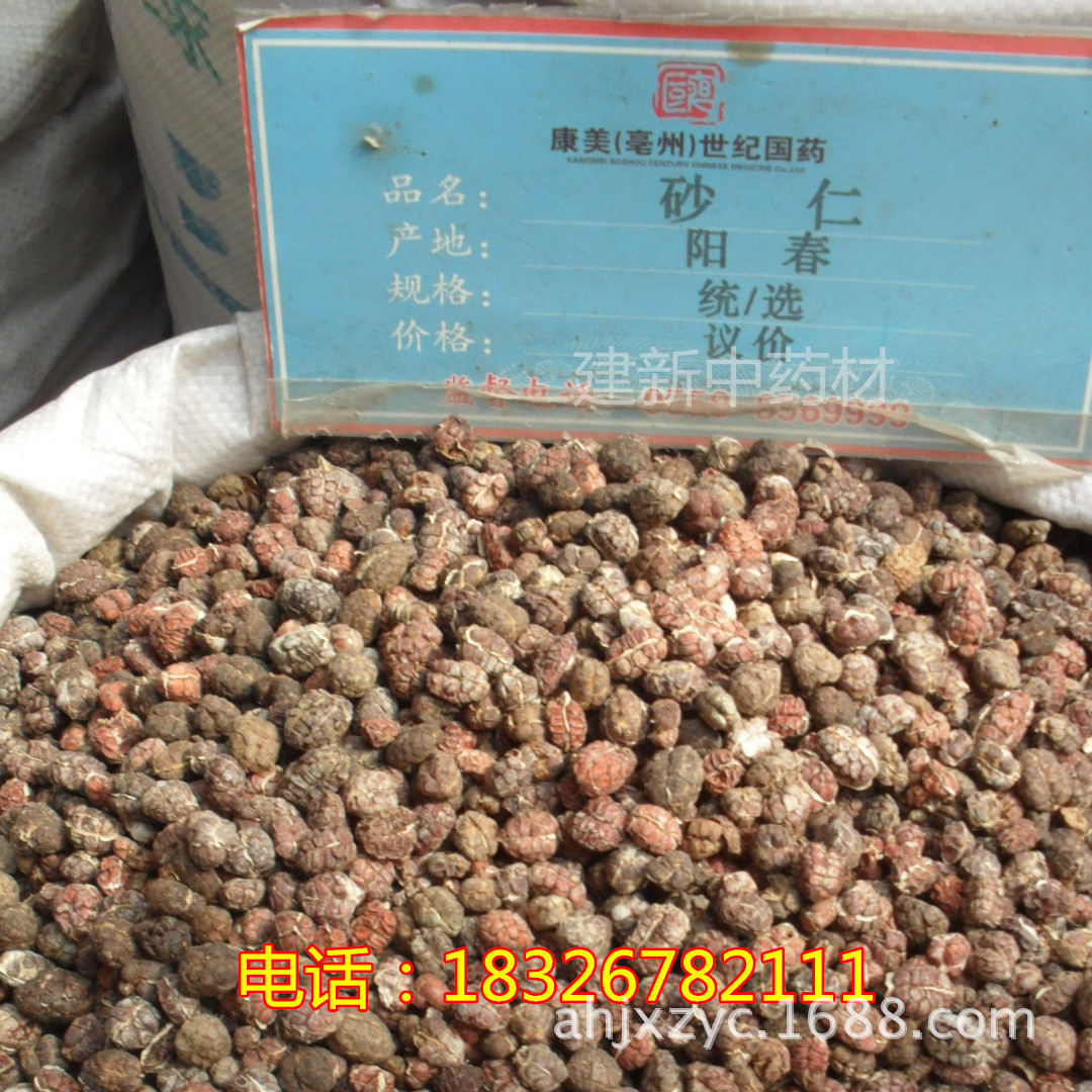 供应国产特价优质中药材砂仁/各种中药材批发/保证正品/支持验货