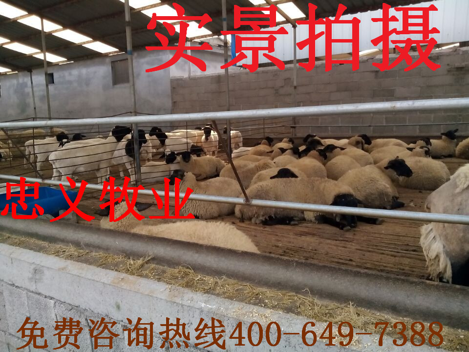 QQ图片20141109170037