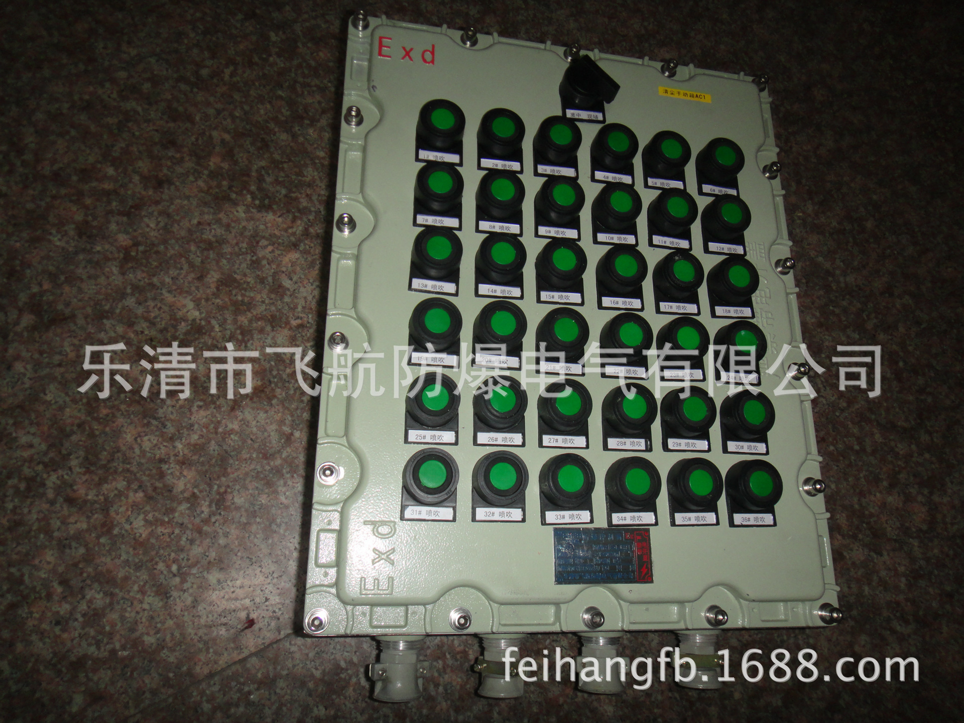 DSC04689