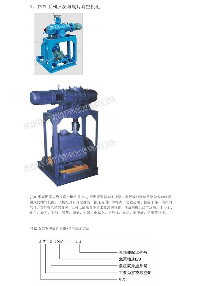 3-JZJX系列羅茨與旋片真空機組 (1)