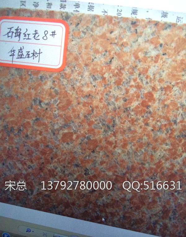 石岛红老8 光面b