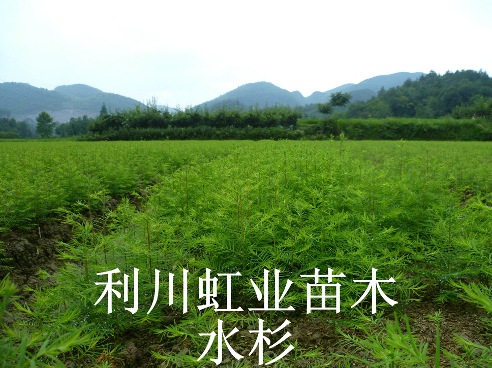 点击打开原图 undefined