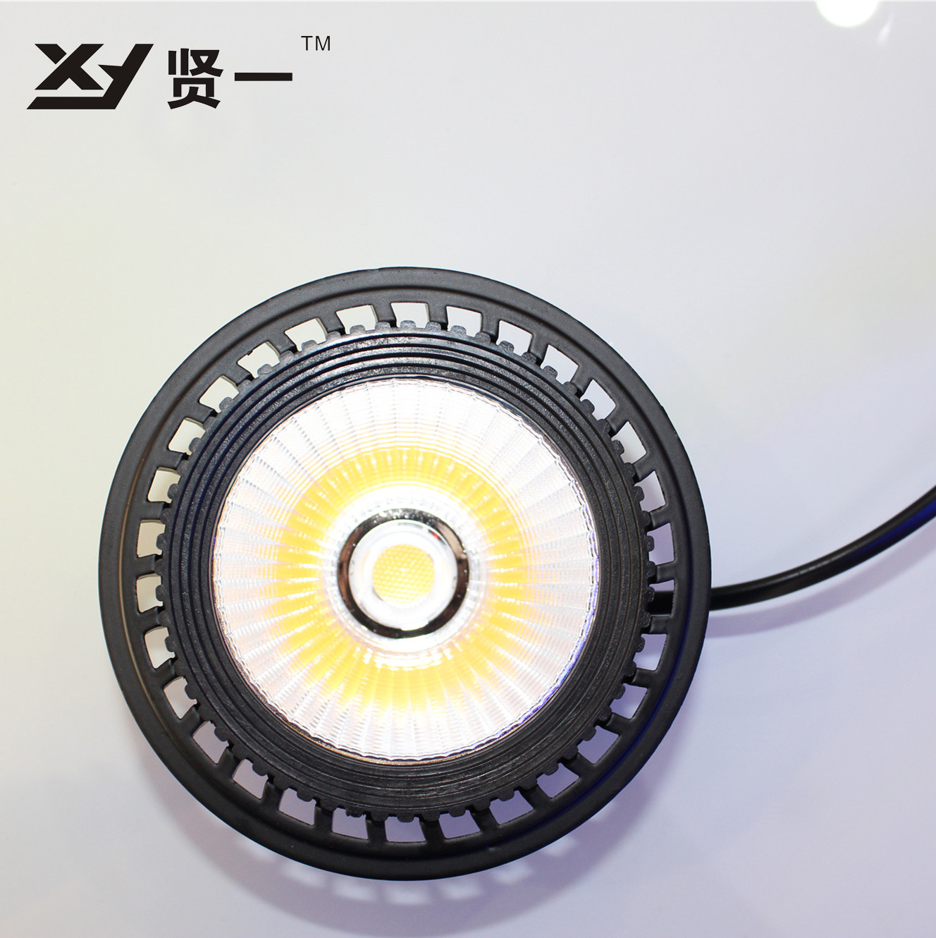 LED斗胆灯内胆 LED斗胆灯内胆 15W  高品质 正品保障 厂家直销