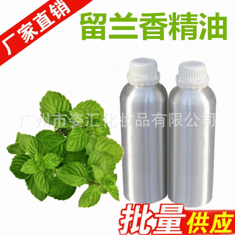100%纯天然牙膏原料,清新口气,新疆留兰香精油厂家直销供应