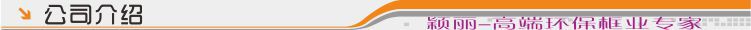 公司介绍