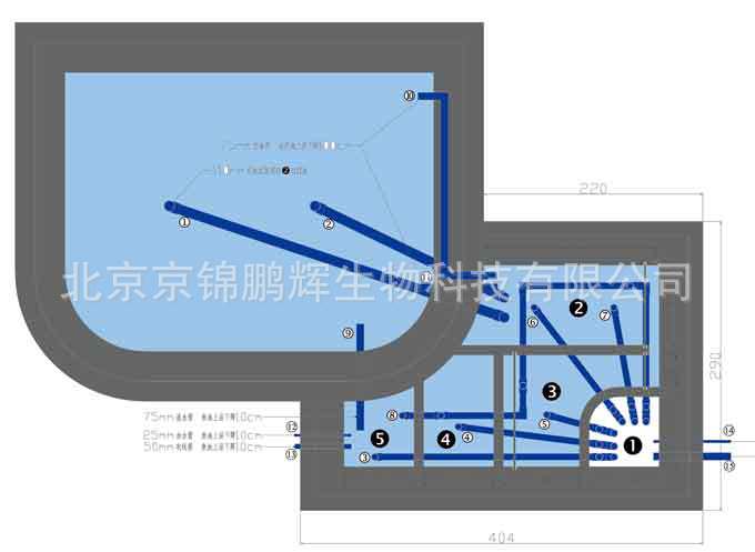 景观鱼池设计 锦鲤鱼池设计 鱼池设计建造方案 鱼池过滤图纸