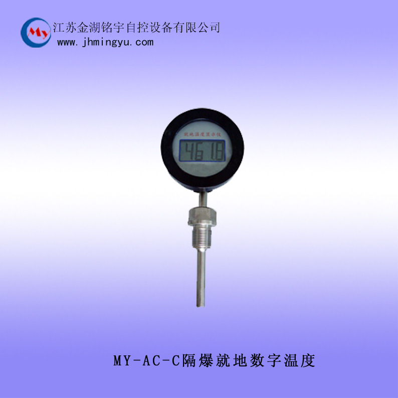 隔爆就地數字溫度計