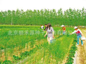 cms_e6d79b523ebd4178b382b2c657